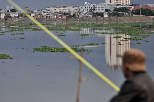 Waduk Pluit Tidak Terawat