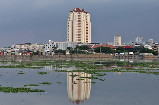 Waduk Pluit Tidak Terawat