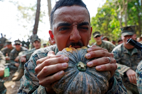 Aksi Marinir AS Minum Darah Ular Demi Bertahan Hidup di Hutan