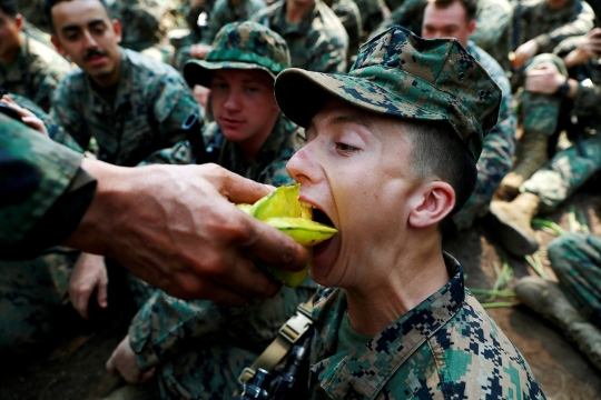 Aksi Marinir AS Minum Darah Ular Demi Bertahan Hidup di Hutan
