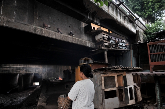 Mencari Rezeki di Kolong Jembatan