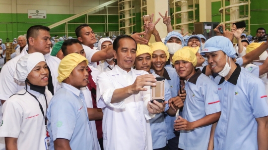 Gaya Jokowi Tinjau Pabrik Mayora di Cikupa