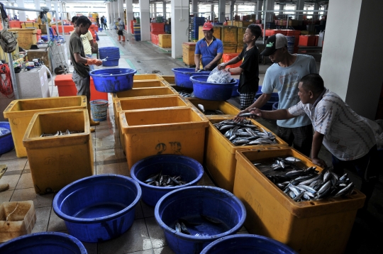 Pedagang Mulai Tempati Pasar Ikan Modern Muara Baru