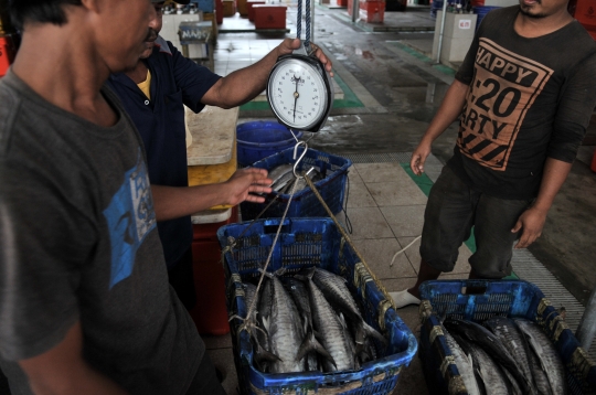 Pedagang Mulai Tempati Pasar Ikan Modern Muara Baru
