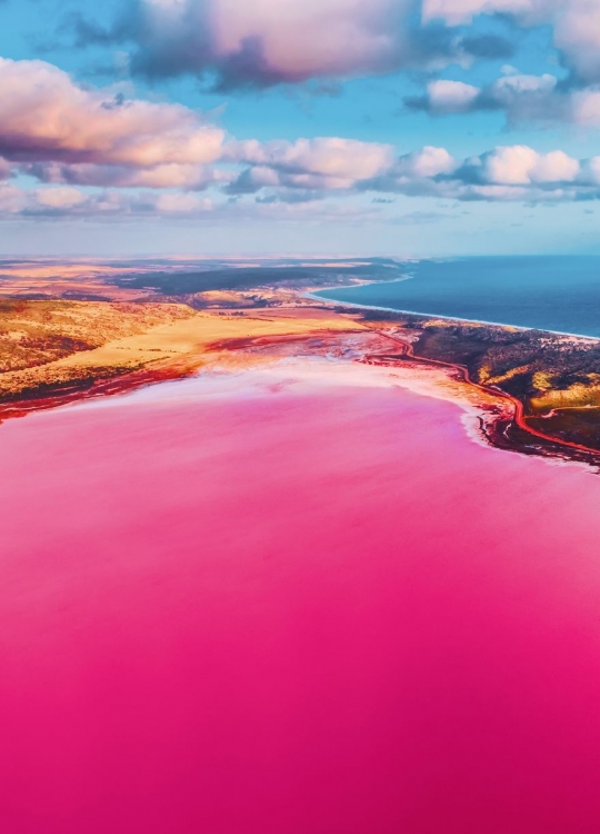 Melihat Keajaiban Hutt Lagoon, Danau Pink Merona di Australia Barat dari Dekat