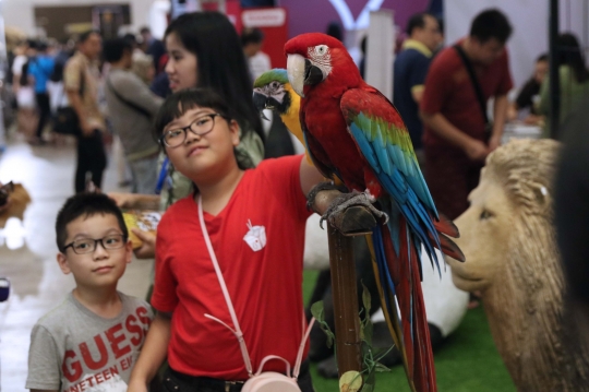Jakarta Indonesia Pet Show 2019, Surga Pecinta Hewan Kesayangan