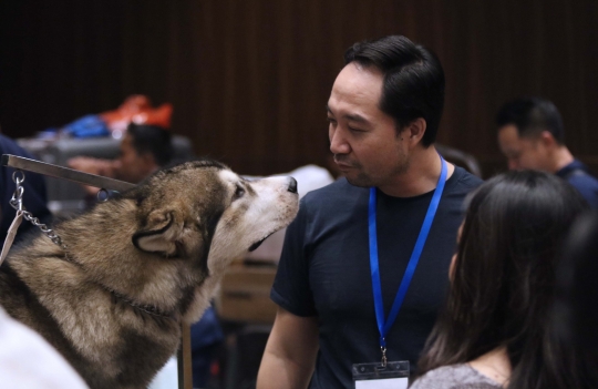 Jakarta Indonesia Pet Show 2019, Surga Pecinta Hewan Kesayangan