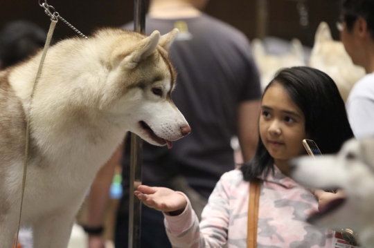 Jakarta Indonesia Pet Show 2019, Surga Pecinta Hewan Kesayangan