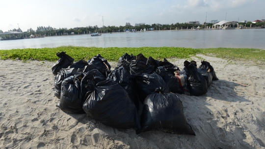 Aksi TNI AL Bersihkan Sampah Plastik di Pantai Ancol