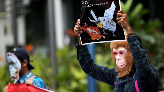 Aksi 'Orangutan' Geruduk Kantor Bank of China di Jakarta