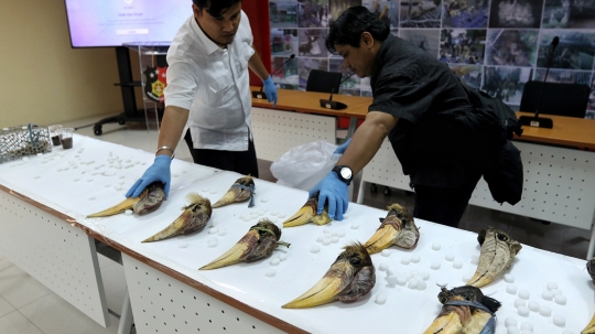 Polisi Bongkar Jual Beli Satwa yang Dilindungi Lewat Medsos