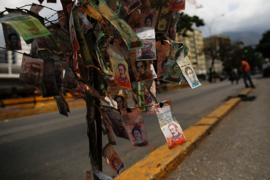Tak Bernilai, Lembaran Uang Venezuela Dijadikan Pohon Hias