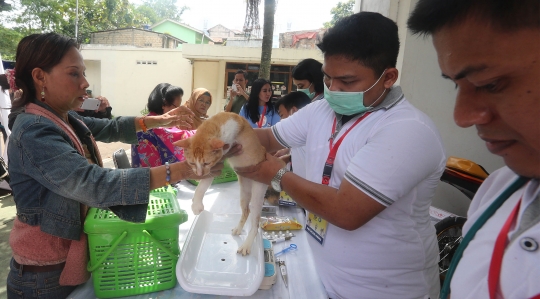 Lomba Kucing Mirip Bobby The Cat Milik Prabowo Subianto