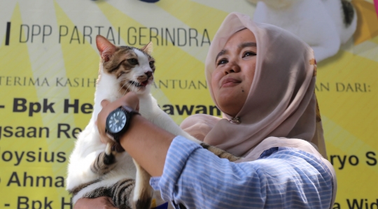 Lomba Kucing Mirip Bobby The Cat Milik Prabowo Subianto