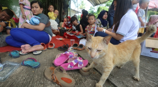 Lomba Kucing Mirip Bobby The Cat Milik Prabowo Subianto