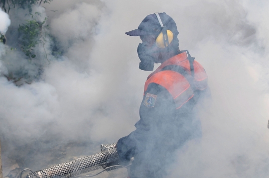 Membasmi Jentik dan Nyamuk DBD dengan Fogging