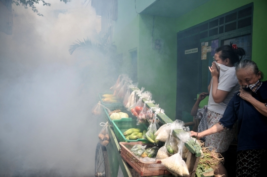 Membasmi Jentik dan Nyamuk DBD dengan Fogging