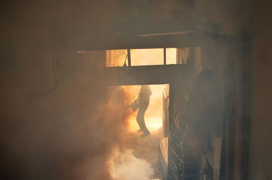 Membasmi Jentik dan Nyamuk DBD dengan Fogging
