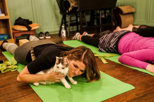 Relaksasi Yoga Bersama Kucing