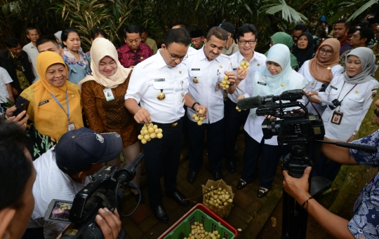 Panen Dukuh dan Salak, Anies Baswedan Tetapkan CBC Jadi Lokasi Wisata Alam