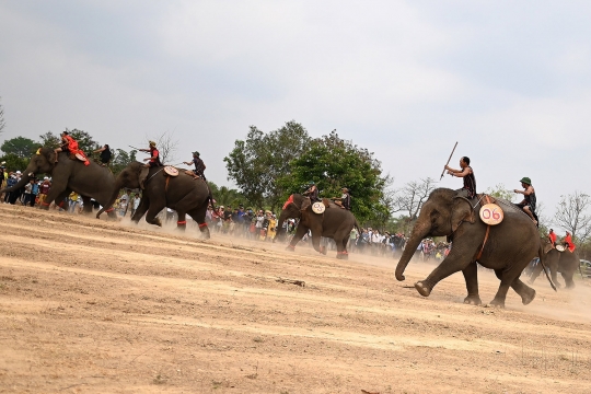 Balap Gajah Vietnam, Antara Sorak Sorai dan Kecaman