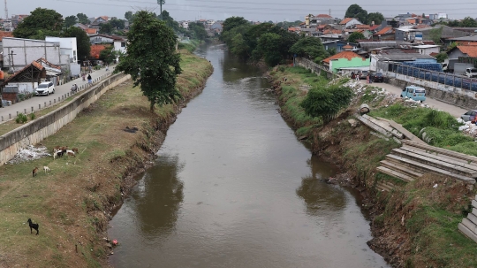 Pembebasan Lahan Normalisasi Kali Ciliwung Ditargetkan Tuntas Tahun Ini