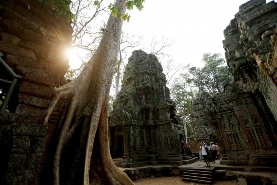 Menyusuri Ta Prohm, Candi di Kamboja yang Jadi Lokasi Syuting Tomb Rider