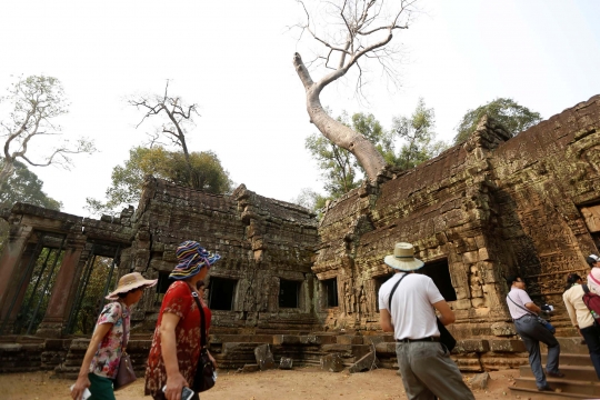 Menyusuri Ta Prohm, Candi di Kamboja yang Jadi Lokasi Syuting Tomb Rider