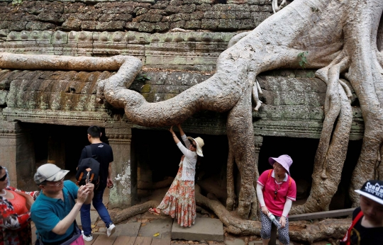 Menyusuri Ta Prohm, Candi di Kamboja yang Jadi Lokasi Syuting Tomb Rider