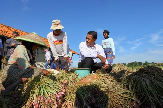 Mentan Sambangi Petani Bawang di Brebes