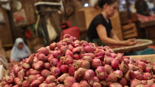 Harga Bawang Merah dan Bawang Putih Relatif Stabil di Pasar Kramat Jati