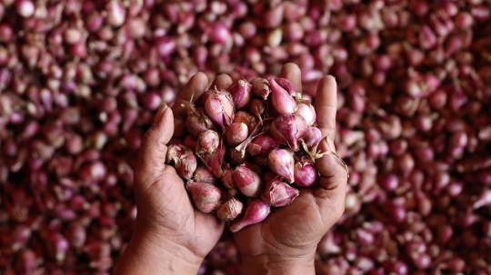 Harga Bawang Merah dan Bawang Putih Relatif Stabil di Pasar Kramat Jati