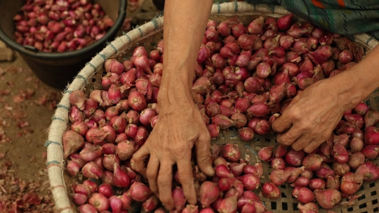 Harga Bawang Merah dan Bawang Putih Relatif Stabil di Pasar Kramat Jati