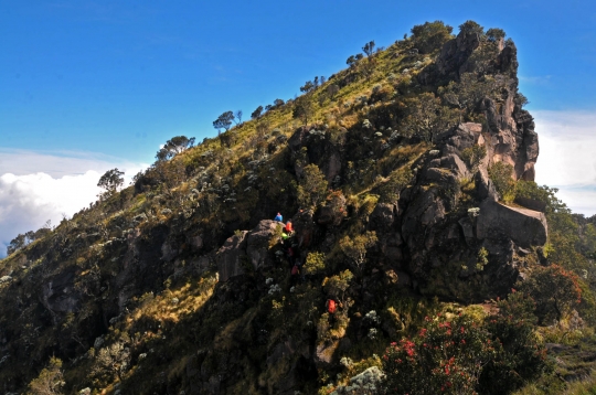 Menjelajahi Keindahan Gunung Sumbing