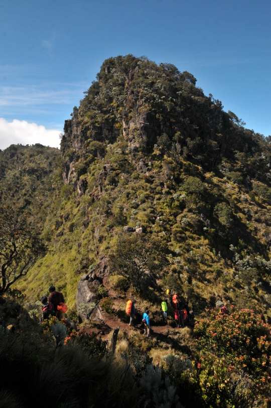 Menjelajahi Keindahan Gunung Sumbing