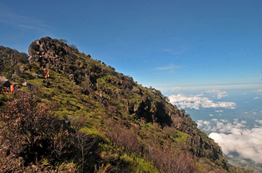 Menjelajahi Keindahan Gunung Sumbing