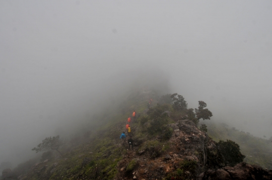 Menjelajahi Indahnya Gunung Sumbing