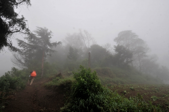 Menjelajahi Indahnya Gunung Sumbing