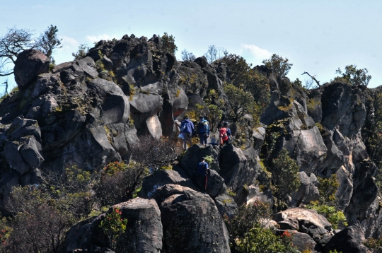 Menjelajahi Indahnya Gunung Sumbing