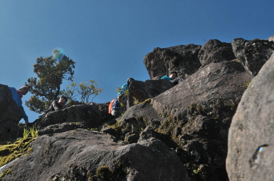 Menjelajahi Indahnya Gunung Sumbing