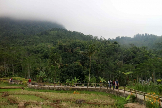 Biru Air Pemandian di Hijau Persawahan Melung