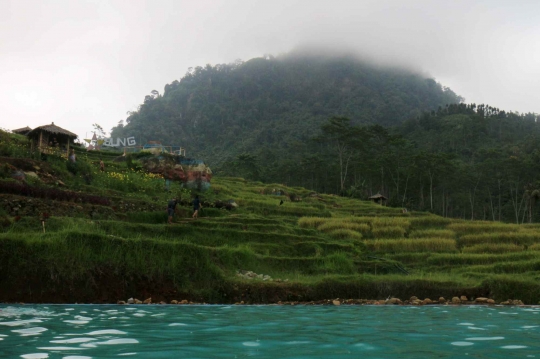 Biru Air Pemandian di Hijau Persawahan Melung