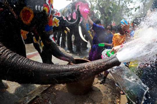 Keseruan Gajah Siram-siraman Air dengan Manusia