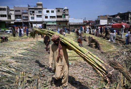 Melihat Buruh Panggul di Pasar Pakistan