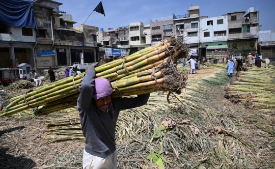Melihat Buruh Panggul di Pasar Pakistan