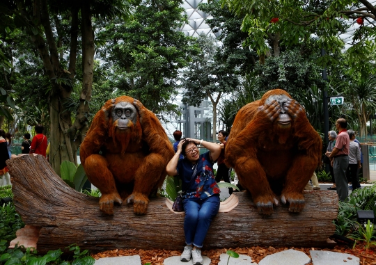 Melihat Lebih Dekat Kemegahan Jewel Changi Airport di Singapura