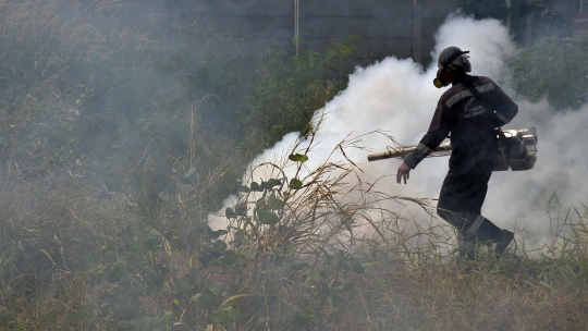 Cegah DBD, Kawasan Kedaung Jakarta Barat di Fogging