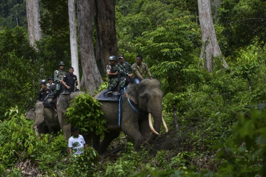 Perangi Perburuan Liar di Hutan Aceh, Polisi Militer Patroli dengan Gajah