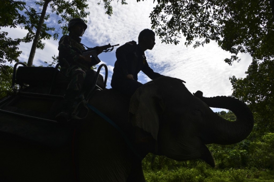Perangi Perburuan Liar di Hutan Aceh, Polisi Militer Patroli dengan Gajah
