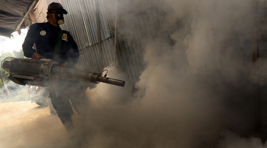 Rawan DBD, Permukiman di Jalan Delima Raya Difogging